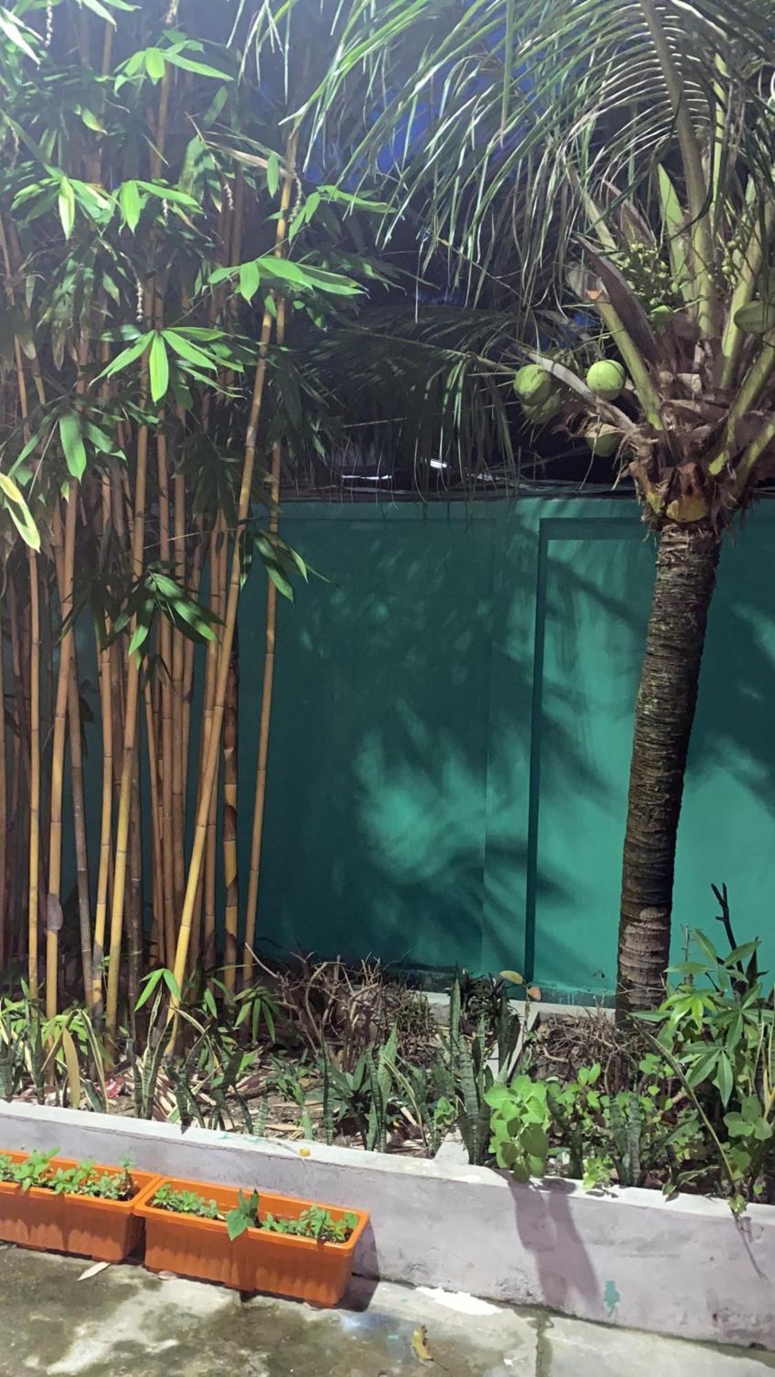 Bloom Garden Bed & Breakfast Siem Reap Exterior foto