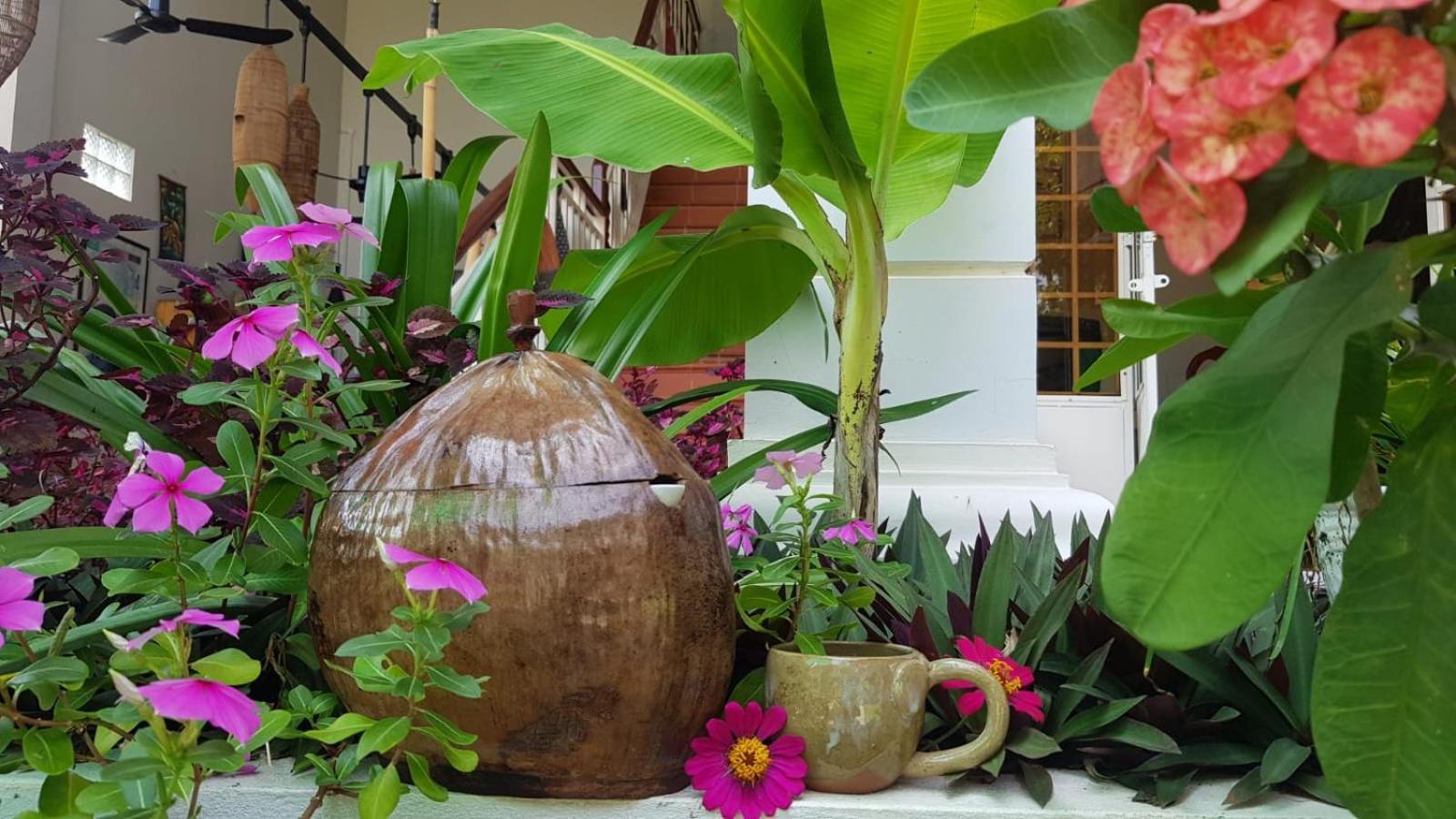 Bloom Garden Bed & Breakfast Siem Reap Exterior foto