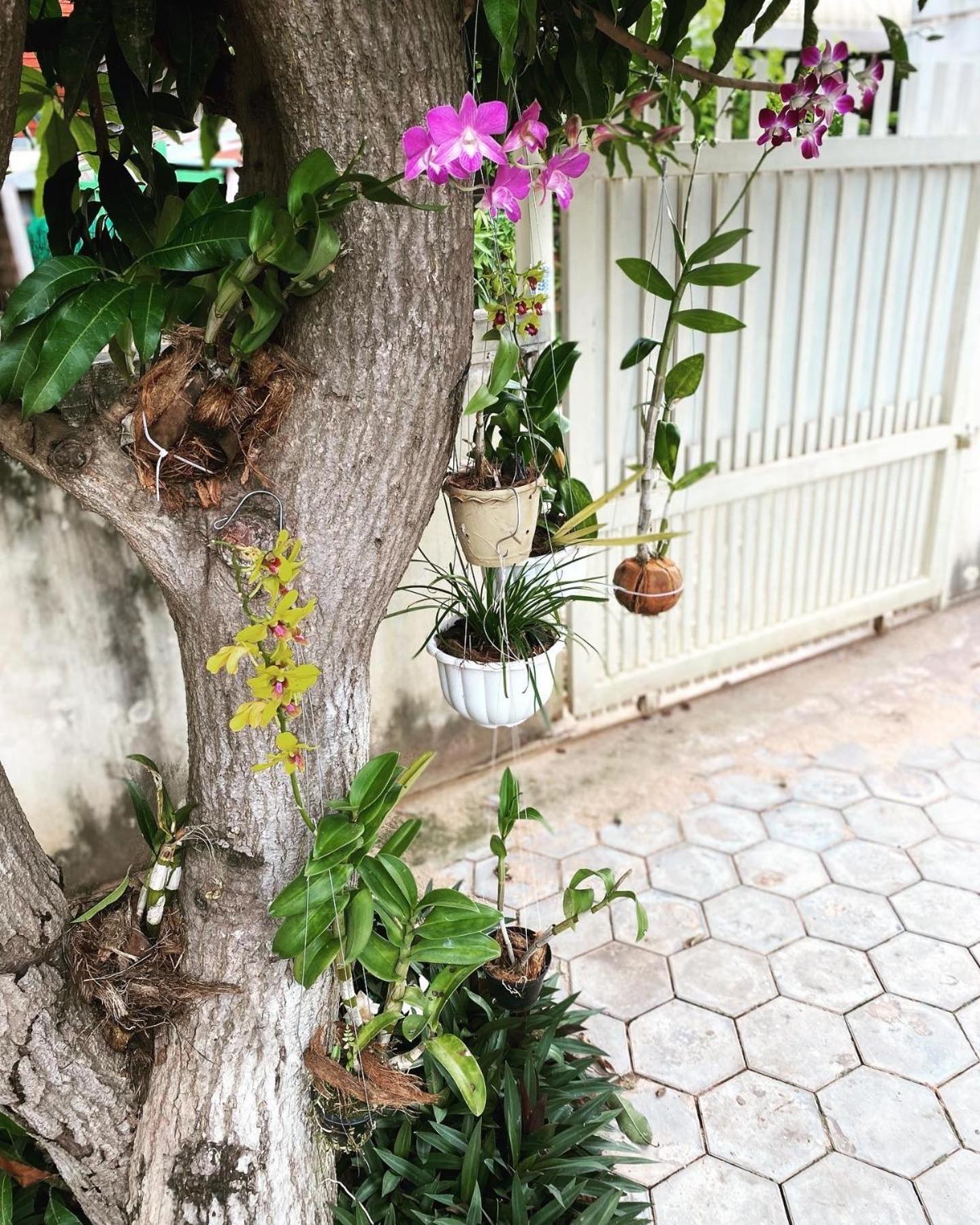 Bloom Garden Bed & Breakfast Siem Reap Exterior foto